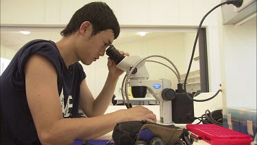 Student researcher examining specimen under mircoscope