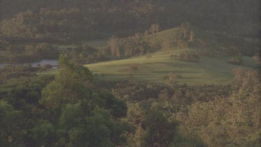 vista of forest with field in middle