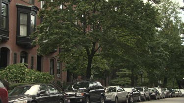 Trees in front of an elegant brick apartment