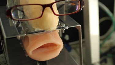 Artificial mouth moved by a machine