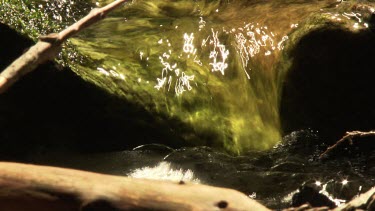 Close up of water babbling through a shallow forest creek