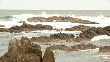 Rough waves breaking against a rocky shore
