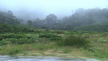 Fog over a rushing river