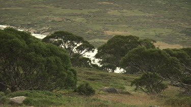 Foggy mountain valley and a winding river
