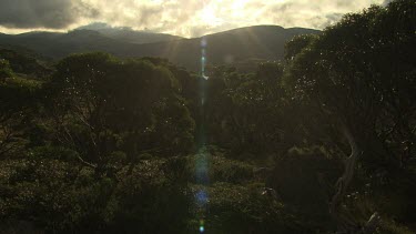 Sunlight in a lush mountain landscape