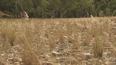 Hiker in a dry field under a mountain