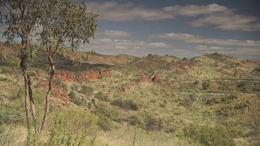 Dry vegetation before distant mountains