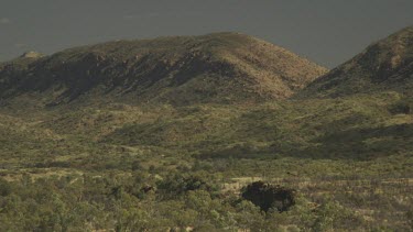 Dry vegetation and a mountain peak