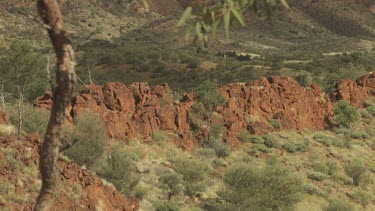 Lush vegetation and tall red cliffs