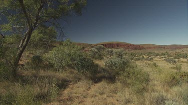Dry vegetation in a mountain valley