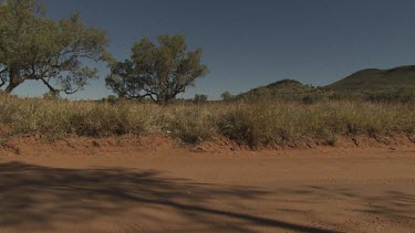 Dry bushes and dirt in a field