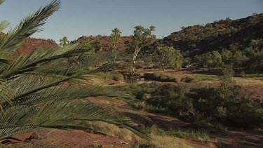 Vegetation in a valley