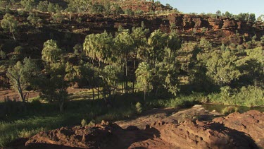 Leafy trees in a rocky valley