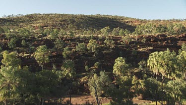 Hiker on a rocky outcrop above leafy trees