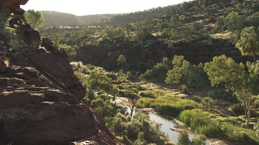 Leafy trees in a rocky valley