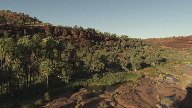 Leafy trees in a rocky valley