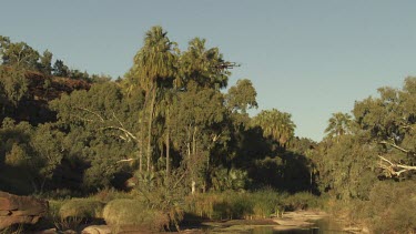 Helicopter flying over trees in a valley