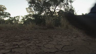 Hiker walking across a dry, cracked riverbed