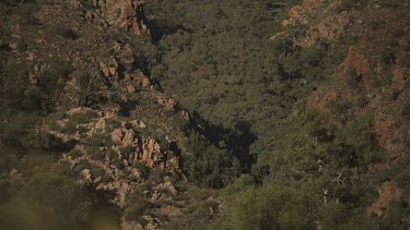 Hazy, dry mountain valley