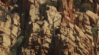 High, rocky cliffs