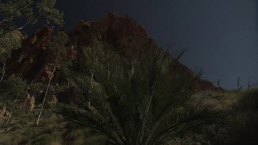Lush vegetation at the base of a mountain