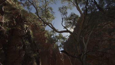 Hikers walking a narrow path between two high cliffs