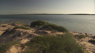 Grass and sand along the coast