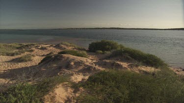Grass and sand along the coast
