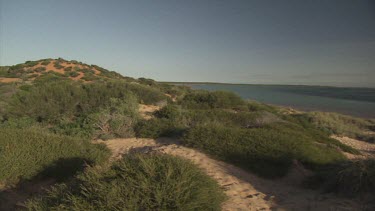Grass and sand along the coast