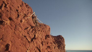 Close up of a red rocky dune on a beach