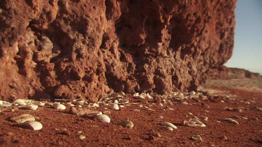 Close up of a red rocky dune and seashells on a beach