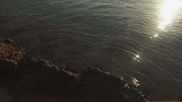 Sunlight on a dry red coast