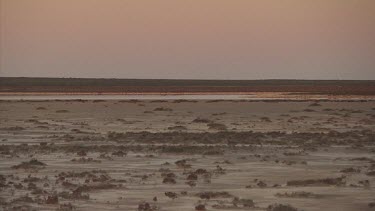 Flat horizon in a sandy desert