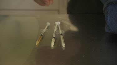 Feeding a Bilby from medical syringes