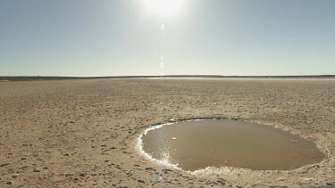 Small pool in a sandy, sunlit desert