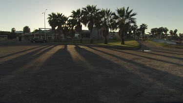 Pedestrian walking between sunlit palm trees