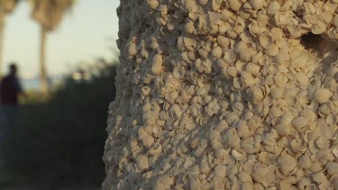 Close up of a white textured wall