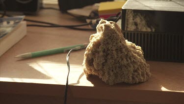 Yellow piece of coral used as a paperweight on a desk