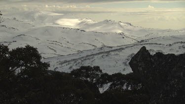 Trees atop a snow-covered mountain