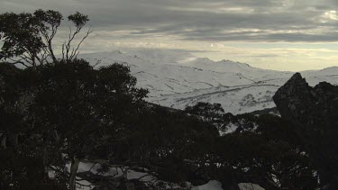 Trees atop a snow-covered mountain