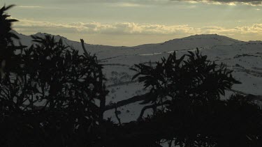 Snow-covered mountains