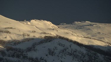 Snow-covered mountains