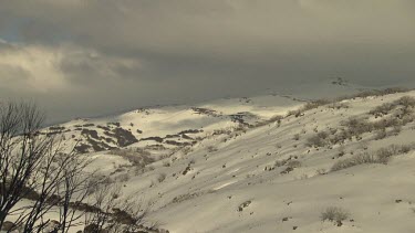 Snow-covered mountains