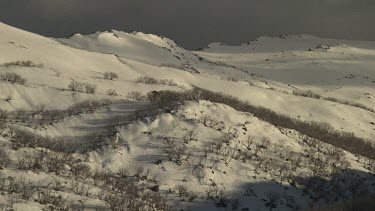 Snow-covered mountains
