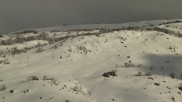 Snow-covered mountains