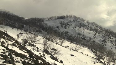 Stream flowing through snow-covered mountains
