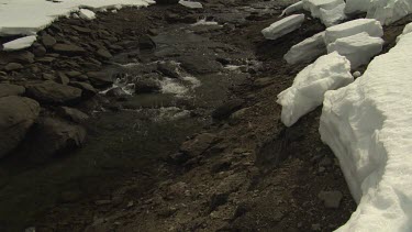 Snow banking a flowing mountain stream