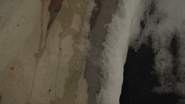 Close up of a tree trunk covered in snow