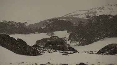 Snow falling on a mountain landscape