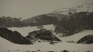 Snow falling on a mountain landscape